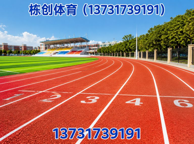 沧州高新技术产业开发区体育设施工程展示图